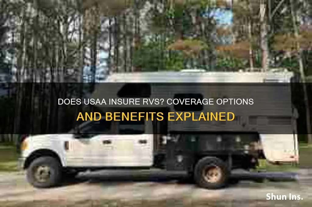 does usaa insure rvs
