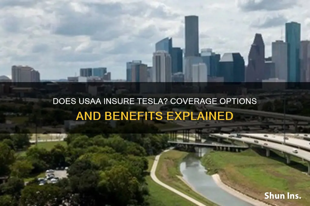 does usaa insure tesla