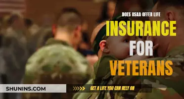 U.S. Veterans: Life Insurance Options via USAA