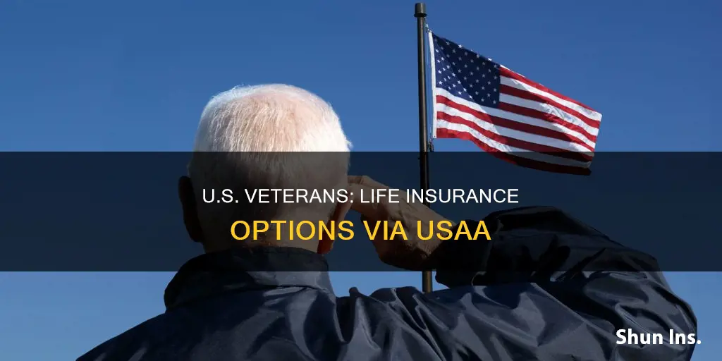 does usaa offer life insurance for veterans