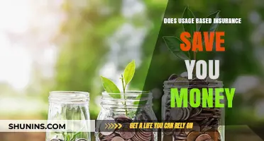 Usage-Based Insurance: Money-Saving or Money Pit?