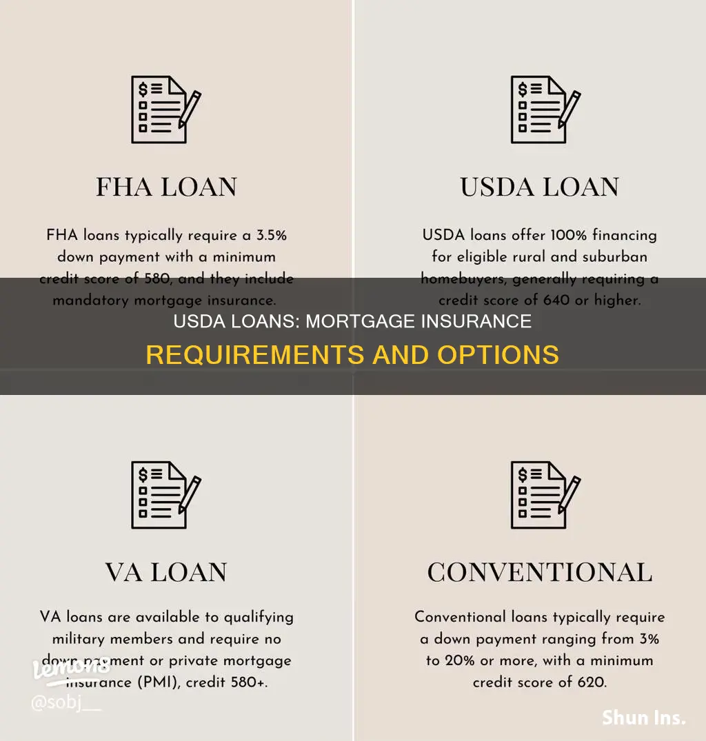 does usda have mortgage insurance