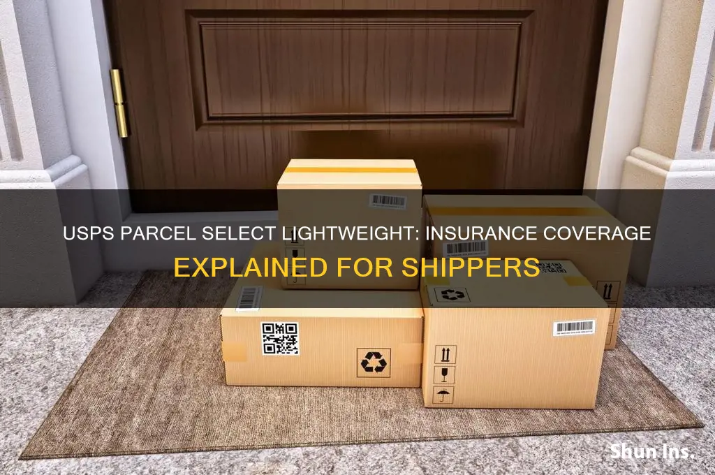 does usps parcel select lightweighthave insurance
