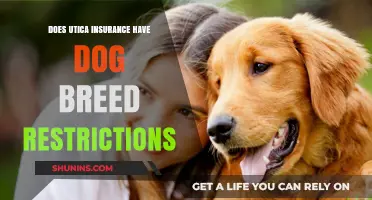 Utica Insurance Dog Breed Restrictions: What You Need to Know