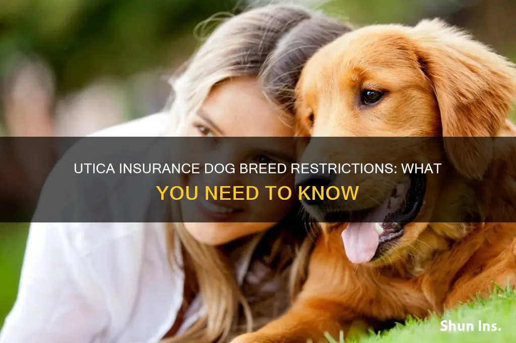 does utica insurance have dog breed restrictions