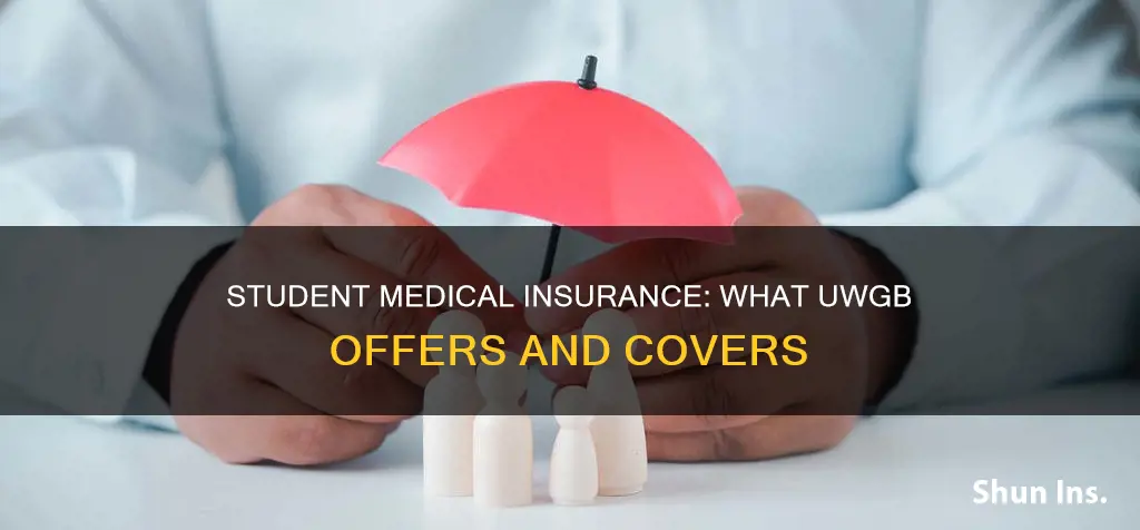 does uwgb offer student medical insurance