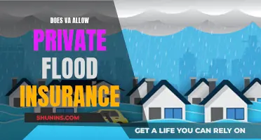 Flood Insurance: Private Options for VA Borrowers