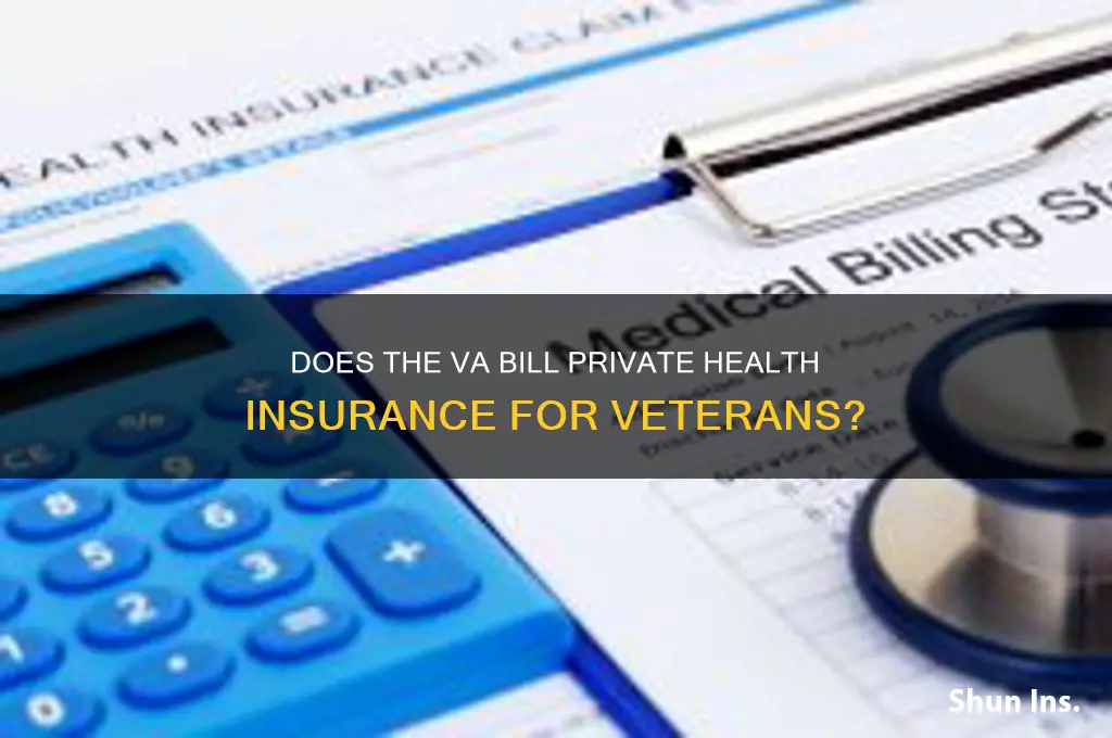 does va bill the veteran