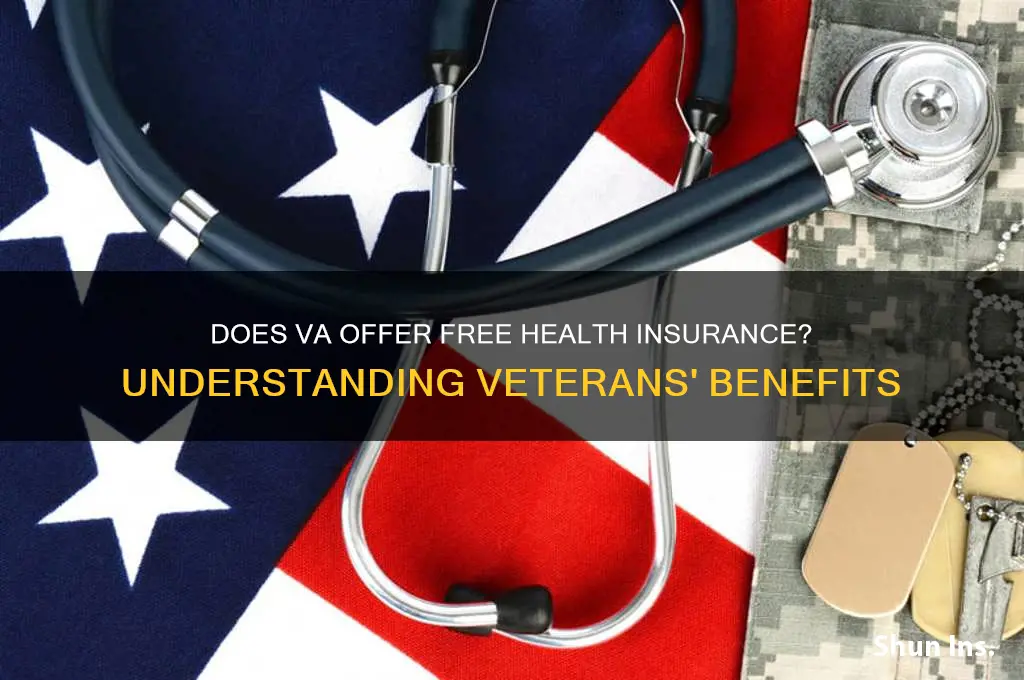 does va have free health insurance