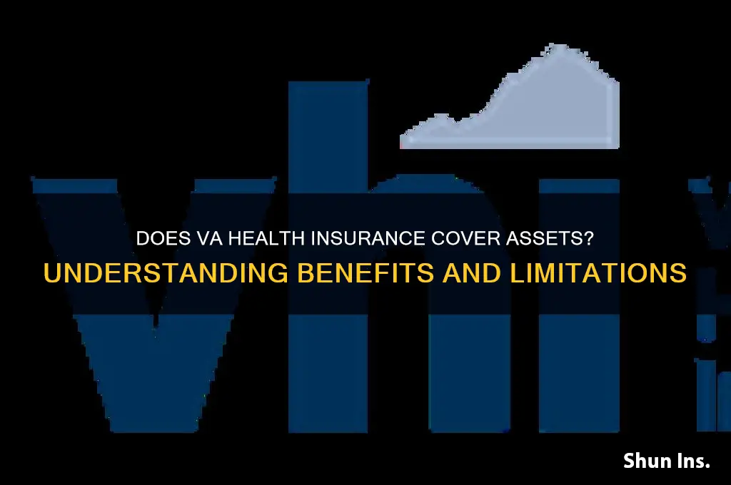does va health insurance assetts