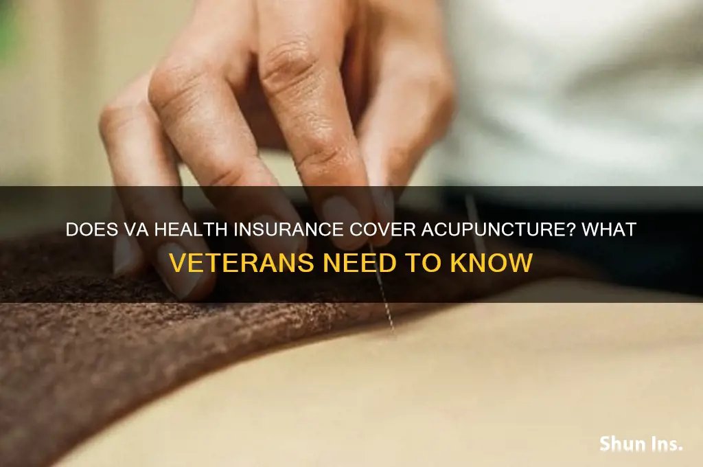does va health insurance cover accupunture
