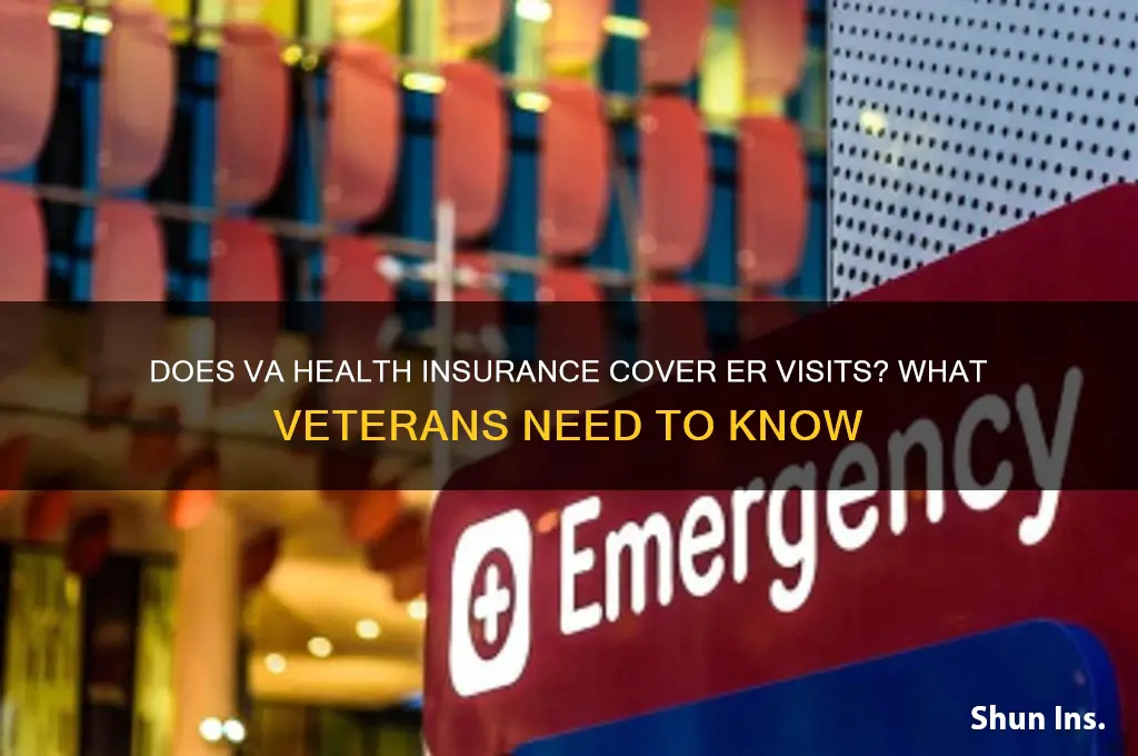 does va health insurance cover er visits