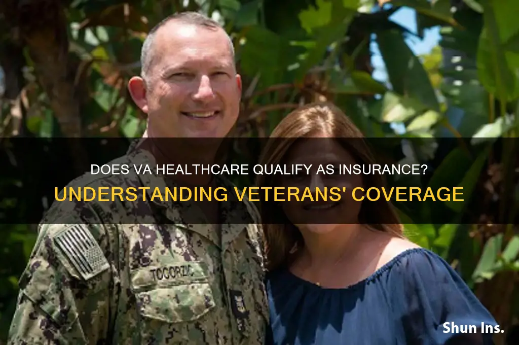does va healthcare count as insurance