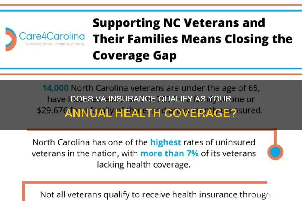 does va insurance count as health insurance for the year