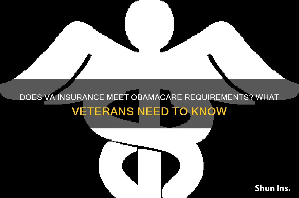 does va insurance qualify for obamacare