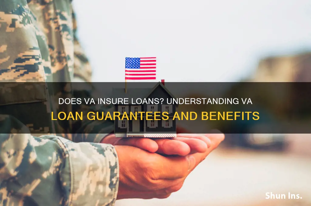 does va insure loans