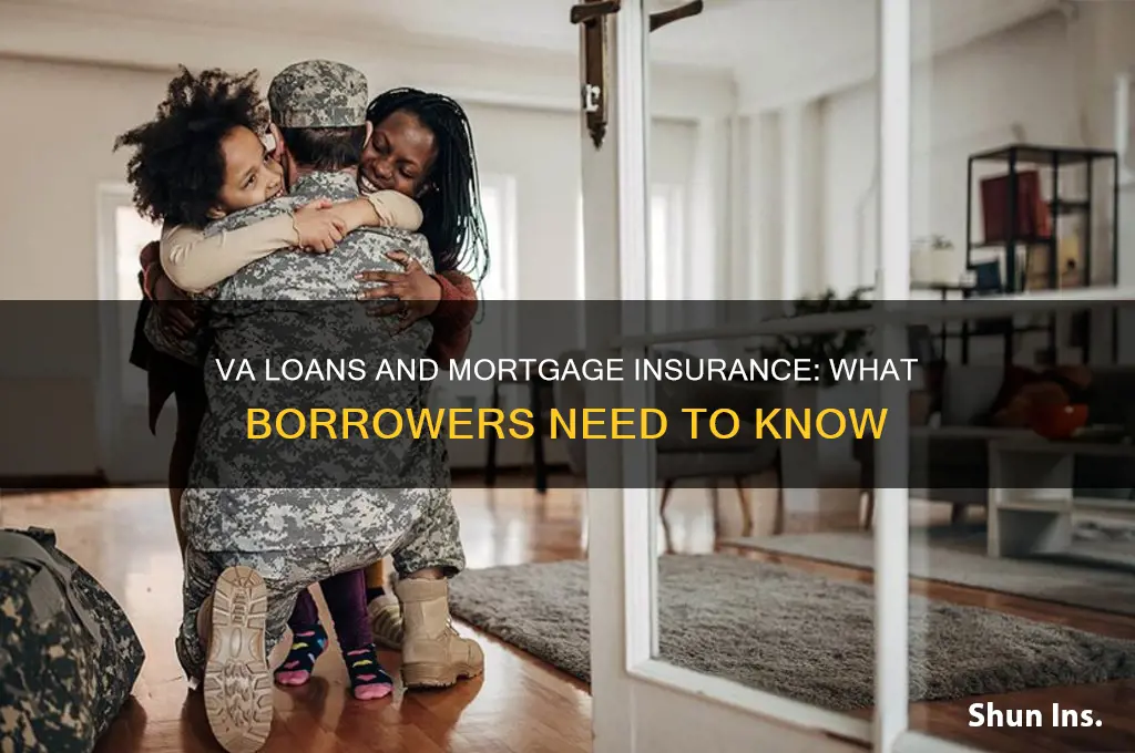 does va loans still needortgage insurance