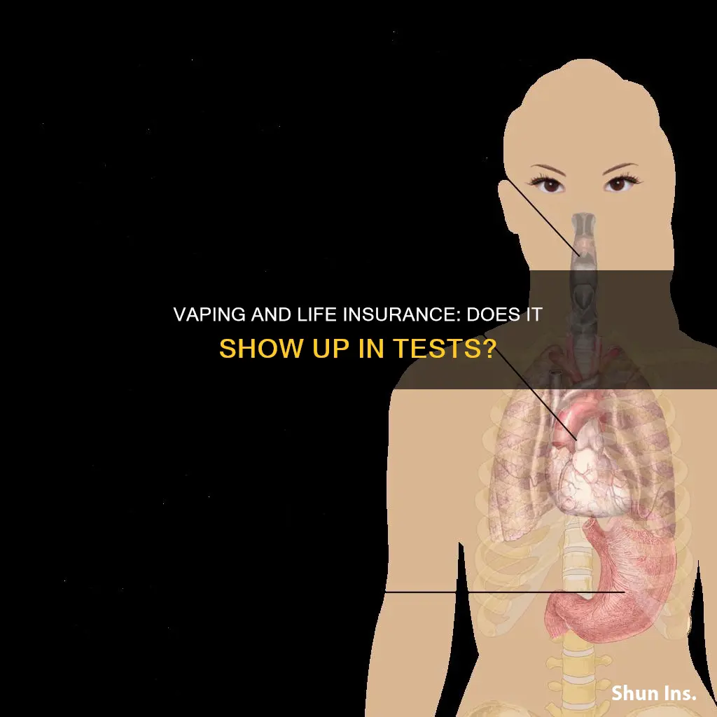 does vaping show up on life insurance test