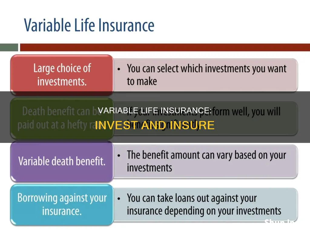 does variable life insurance allow investment options