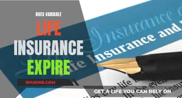 Variable Life Insurance: Does It Expire?