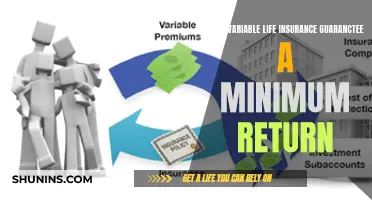 Variable Life Insurance: Minimum Returns Guaranteed?