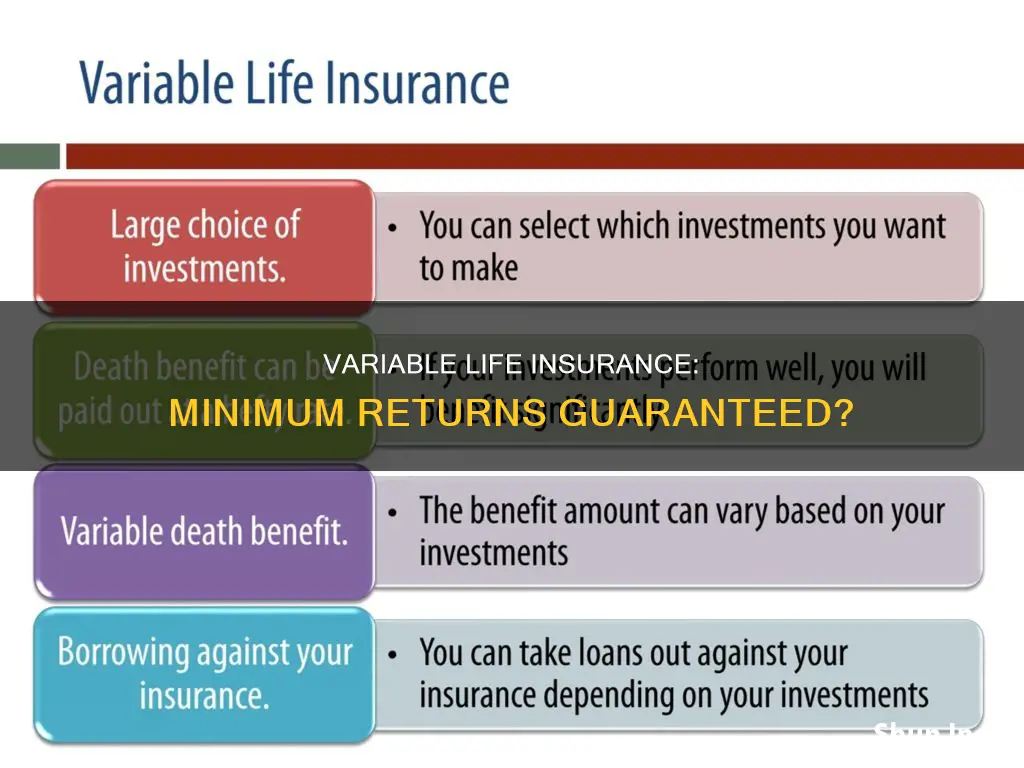 does variable life insurance guaranctee a minimum return