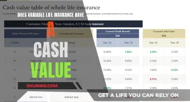 Variable Life Insurance: Cash Value and Benefits Explained