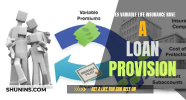 Variable Life Insurance: Loan Provisions and Their Benefits