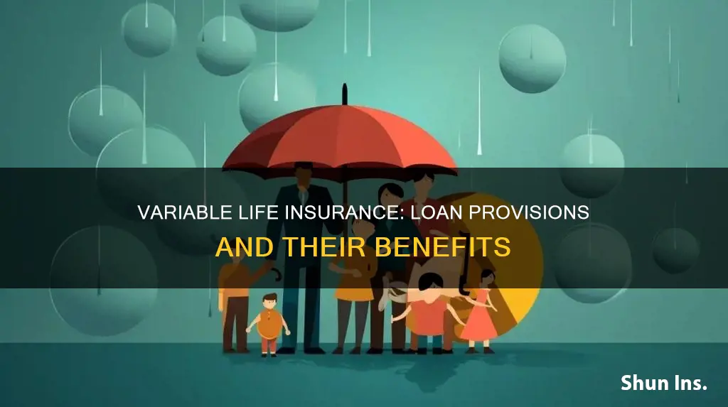 does variable life insurance have a loan provision