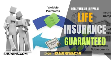 Variable Universal Life Insurance: Are Guarantees Possible?