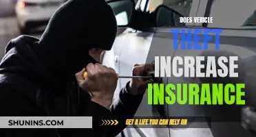 Vehicle Theft: Insurance Impact