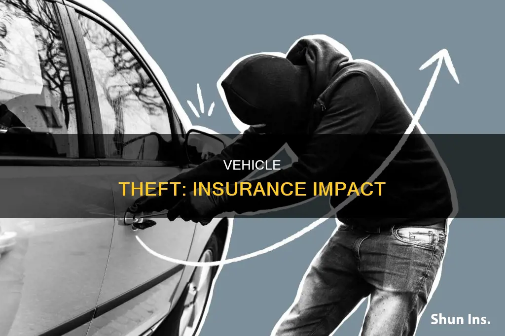 does vehicle theft increase insurance