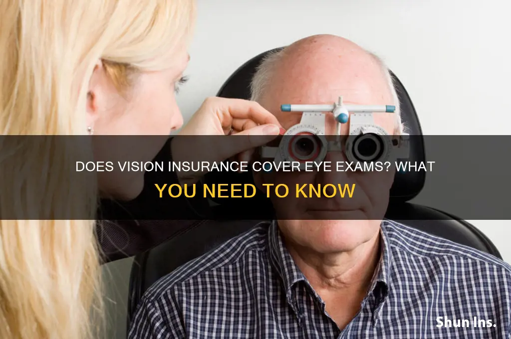 does vision insurance eye exams