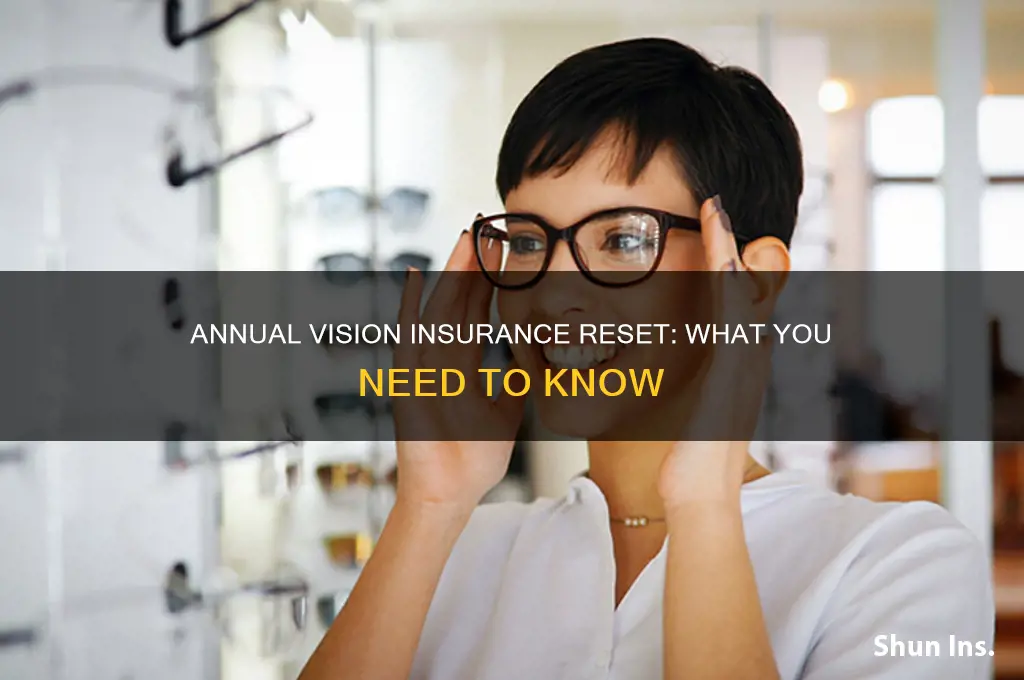 does vision insurance reset every year