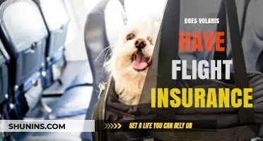 Does Volaris Offer Flight Insurance? A Comprehensive Guide for Travelers