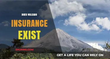 Does Volcano Insurance Exist? Exploring Coverage for Volcanic Eruptions