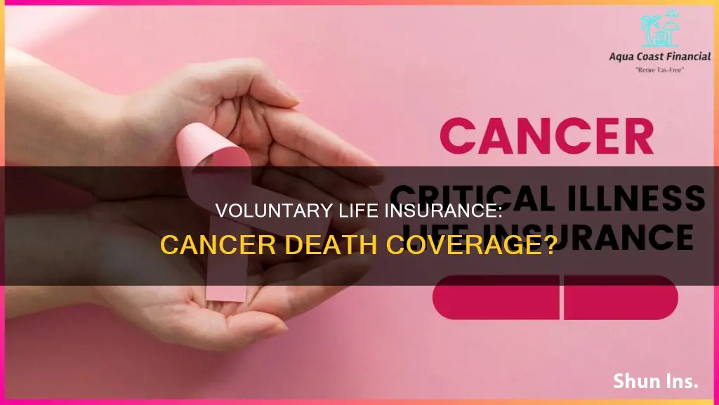 does voluntary life insurance cover if you die of cancer