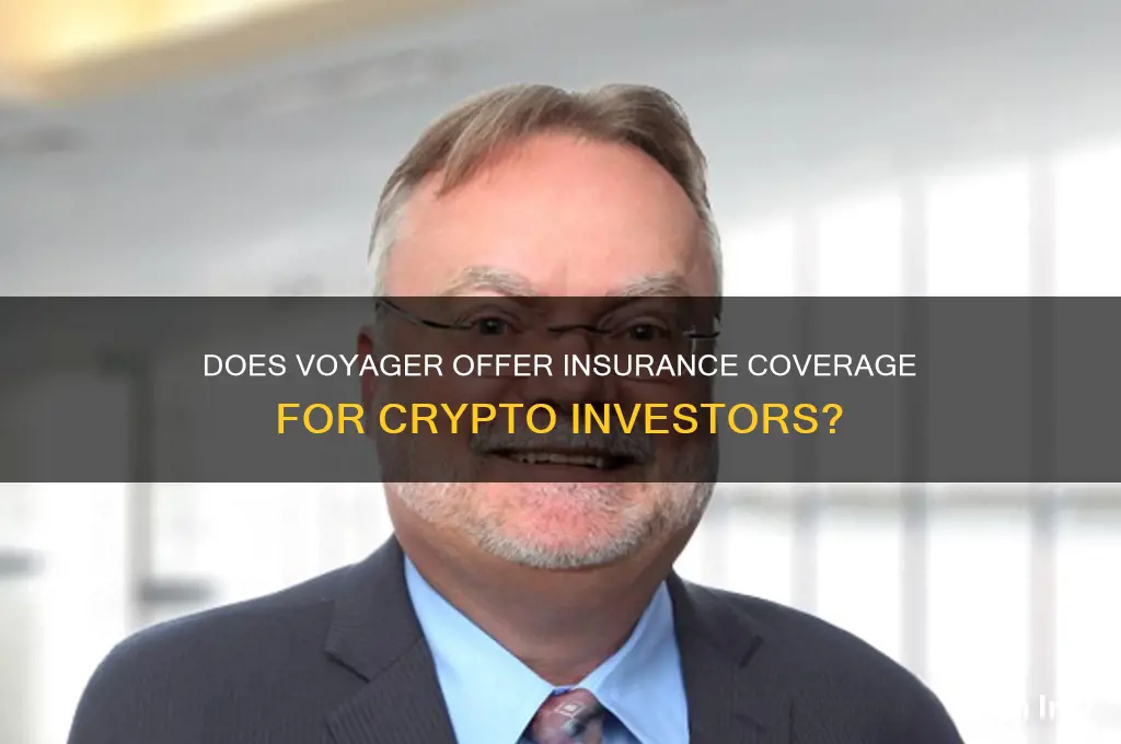 does voyager have insurance