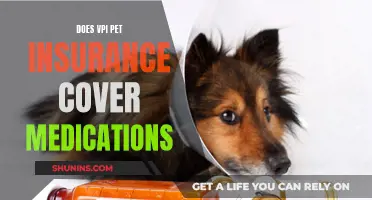VPI Pet Insurance: What Medication Costs Are Covered?