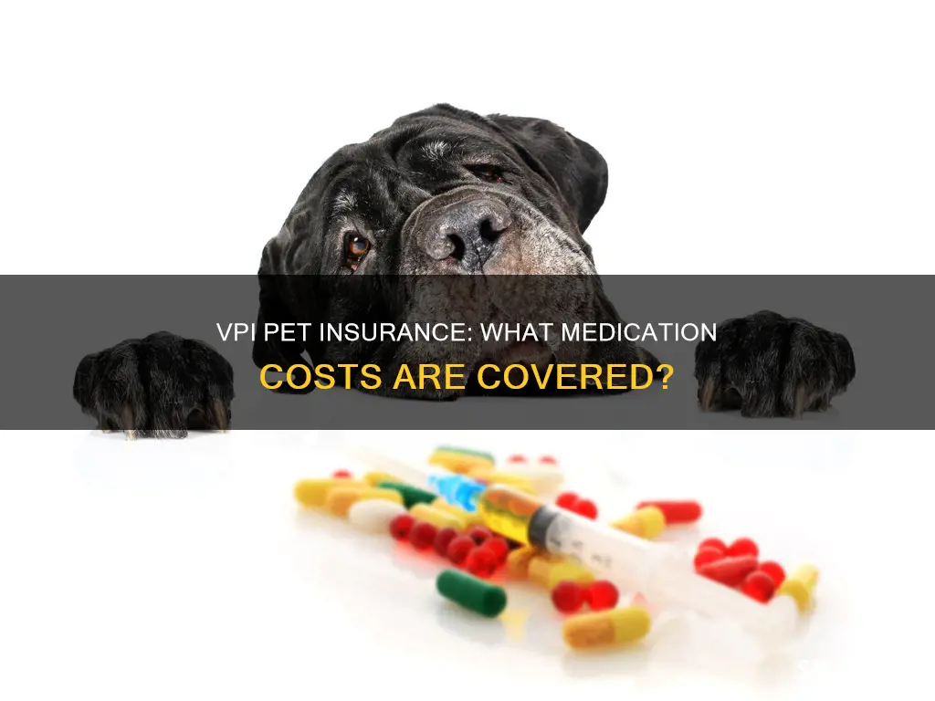 does vpi pet insurance cover medications