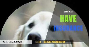 Does Wag Offer Insurance Coverage for Pet Owners and Walkers?
