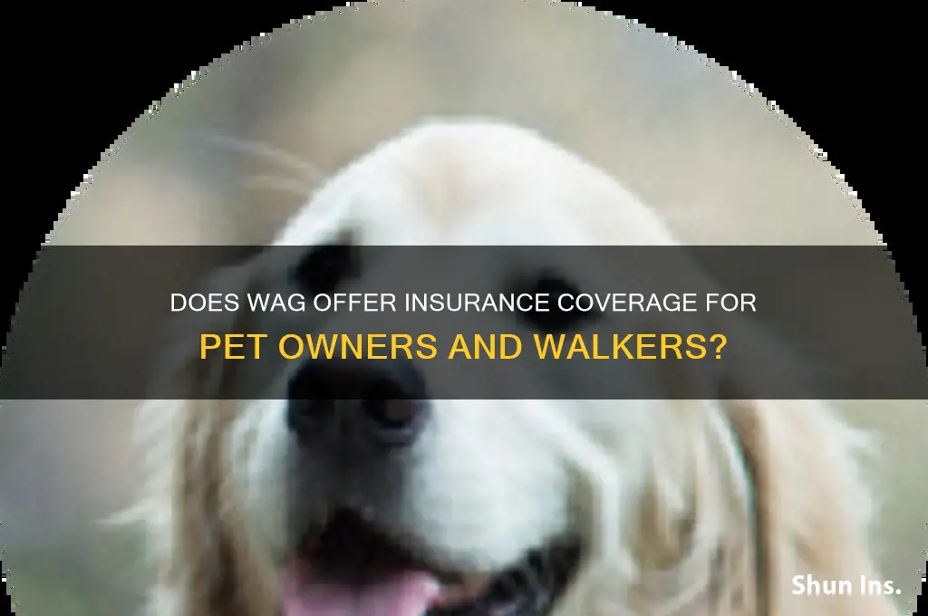 does wag have insurance