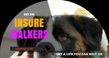 Does Wag Insure Walkers? Understanding Coverage for Dog Walkers