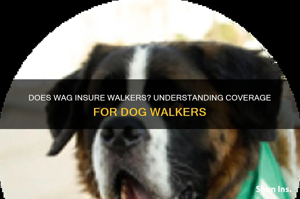 does wag insure walkers