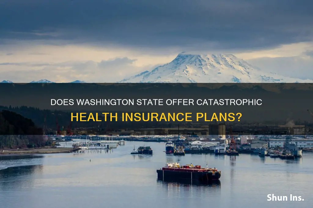 does washingtonstate allow catostophic health insurance
