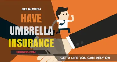 Does Wawanesa Offer Umbrella Insurance? Coverage and Benefits Explained