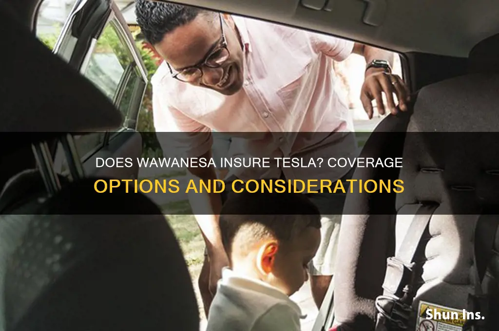 does wawanesa insure tesla