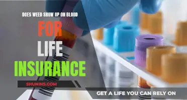 Weed and Life Insurance: What Your Blood Says