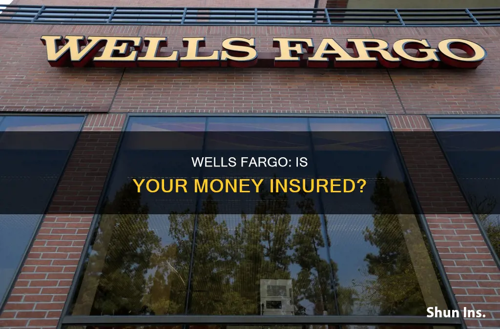 does wells fargo insure your money