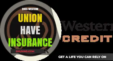 Does Western Union Offer Insurance? Exploring Protection for Your Transfers
